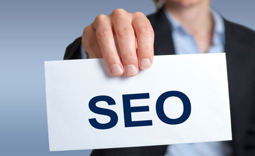 SEO的潜能与时机 揭秘网络信息技术推广服务的核心价值