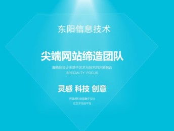 东阳信息技术 引领成都网站建设与网络推广的专业力量